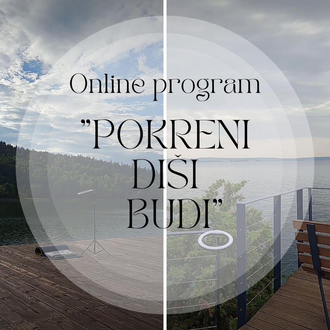 Online program 